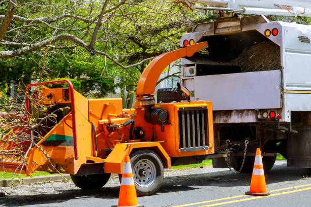 Best Fruit Tree Pruning  in Englewood Cliffs, NJ